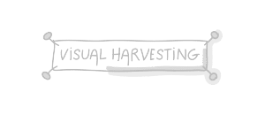 Visual Harvesting logo